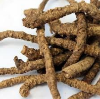 Hu Huang Lian 胡黃連 Rhizoma Picrorhizae - Bodycrafters Supplement & Clinic