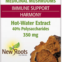 Chaga Extract 60