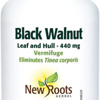 Black Walnut Leaf and Hull