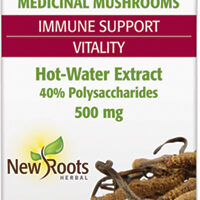 Cordyceps Extract
