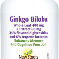 Ginkgo Biloba 120 caps