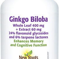 Ginkgo Biloba