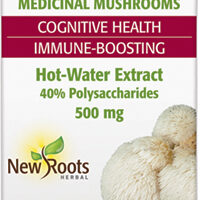 Lion’s Mane Extract 120 caps