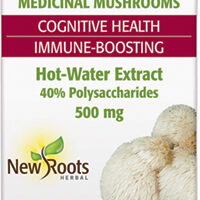 Lion’s Mane Extract 60 caps