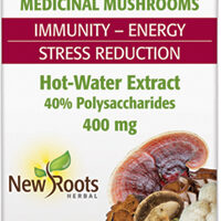 Resilience Mushroom Extract Blend