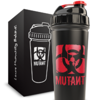 Stainless Steel Shaker