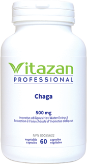Chaga Chaga