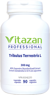Tribulus Terrestris L 300 mg Tribulus Terrestris L 300 mg