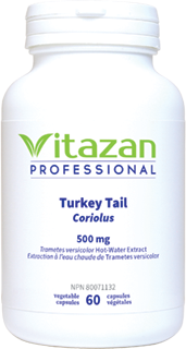 Turkey Tail Turkey Tail