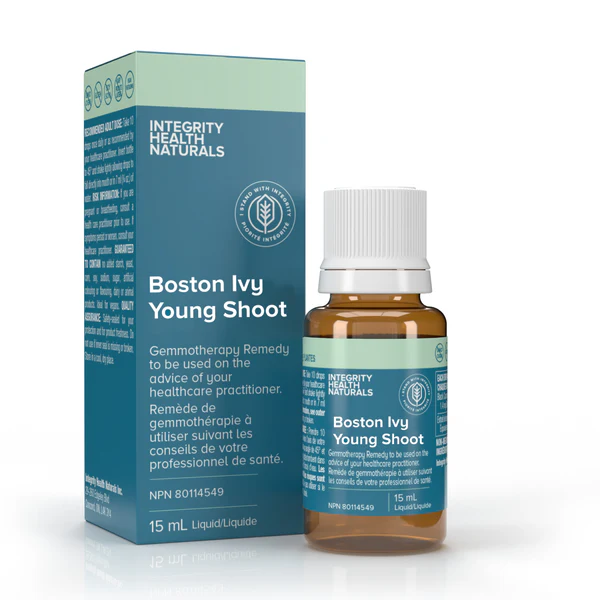 Boston Ivy Young Shoot 15 ml Integrity Health Naturals Boston Ivy Young Shoot 15 ml Integrity Health Naturals