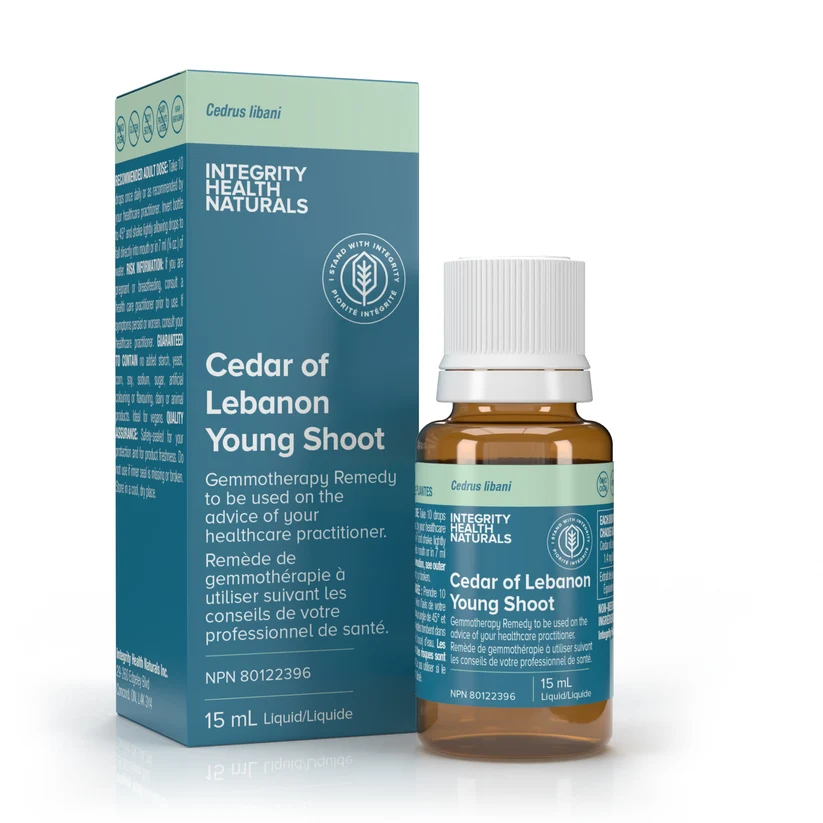 Cedar of Lebanon Young Shoot - Cedrus Libani 15 ml Integrity Health Naturals