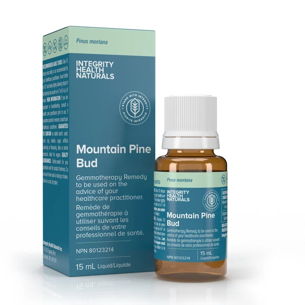 Mountain Pine Bud – Pinus Montana 15 ml Integrity Health Naturals